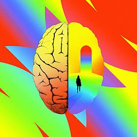 The Ecstasy of an Open Brain Image