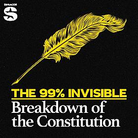 Constitution Breakdown #1: Nikole Hannah-Jones Image