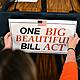 The Big Ugly Battle Over the Big Beautiful Bill