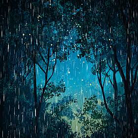 Soothing Rain Ambient Relaxation Image