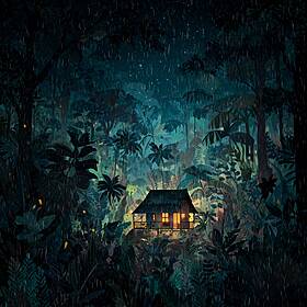 Amazon Rainforest Ambience Image