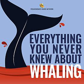 Why Do People Still Hunt Whales? (Update) Image