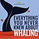 Why Do People Still Hunt Whales? (Update)