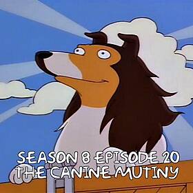 The Canine Mutiny - S08E20 Image