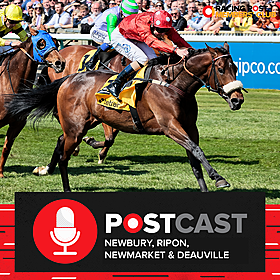 Newbury, Ripon, Newmarket & Deauville | Horse Racing Tips | Racing Postcast Image