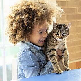 Catnip, cat naps, and the history of house cats Image