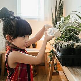 Do plants sleep? Image