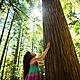 Tree, Myself and I: All about our leafy green friends