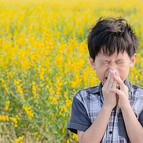 Achoo! How fast does a sneeze travel? Image