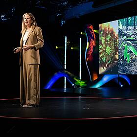 The intended consequences of helping nature thrive | Ryan Phelan Image