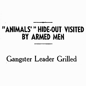 The Animal Gangs: An Irish Peaky Blinders? Image