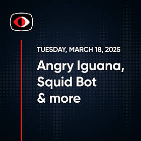 Angry Iguana, Squid Bot, Bruted, 0Auth, Dragon Medical, Clippy 2.0, CISA, Josh Marpet - SWN #460 Image