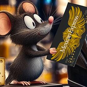 Jimmy Mouse and the Magic Card Image