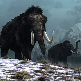 #394 — Bringing Back the Mammoth Image