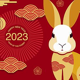 The Year of the Rabbit Image