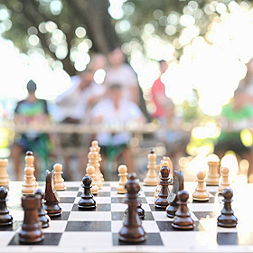 Reasons to be Happy: Kindness, Chess, Pitbull Image