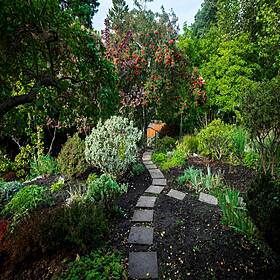 How To...Plan Your Garden Image