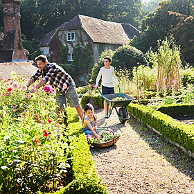 Ask the Expert: Gardening Image