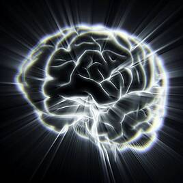 Wellness: Neurodiversity