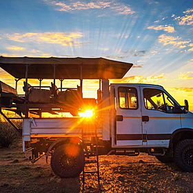 A safari is a bucket list holiday Image