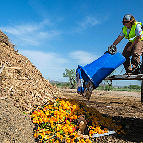 Why Do Irish Households Waste So Much Food? Image