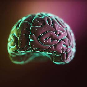 Futureproof Extra: Just how big can our brains get? Image
