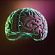 Futureproof Extra: Just how big can our brains get?