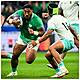 Gift Grub: Irish Celebs Are Still Celebrating Ireland Beating South Africa