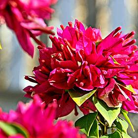 It's time to jump back into the garden ! Image