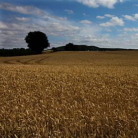 Agricultural innovations for the environment at the Ploughing Championships Image