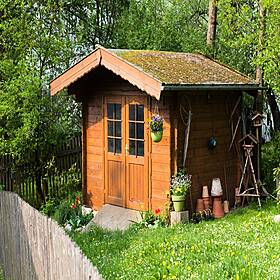 Bed in a shed proposals head to cabinet Image