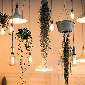 The Home Squad: Lighting Image