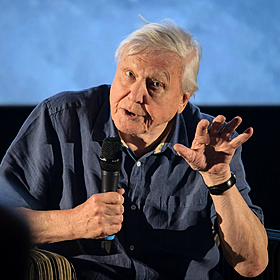 The Producer & Director of BBC new David Attenborough series, Wild Isles Image