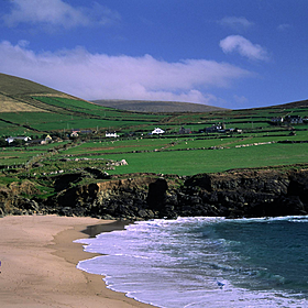 A vast improvement on coastal litter Image