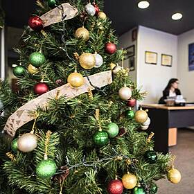 Dublin Office Bans Christmas Tree So As Not To Offend Muslims Image