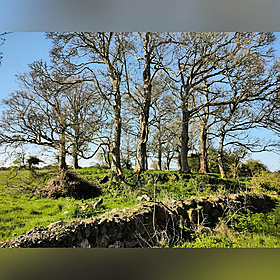The do’s and don’ts of fairy forts Image