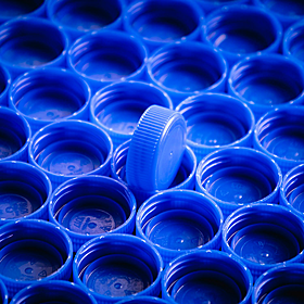 Should we worry about microplastics? Image