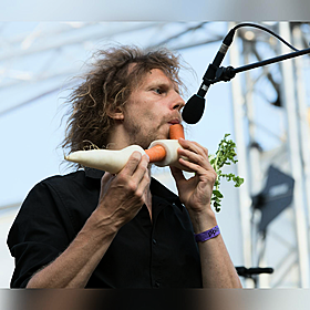 Vegetable orchestra wins Guinness World Record! Image