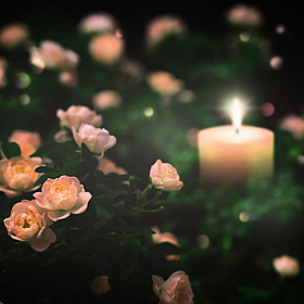 "Deadly Conversations" workshops with the Irish Hospice Foundation and Axis Ballymun Image
