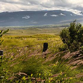 The need for a land observatory Image