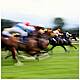 Gift Grub: The 'Mammy's Words of Wisdom' Mother's Day Hurdle from Cheltenham