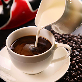 Initiative under way to promote late night café culture Image