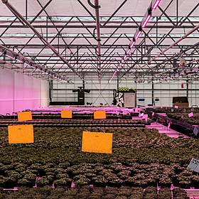 Foodmet; Brussels’ sustainable food hall Image