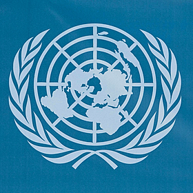 The UN says no aid distributed in Gaza on Tuesday Image