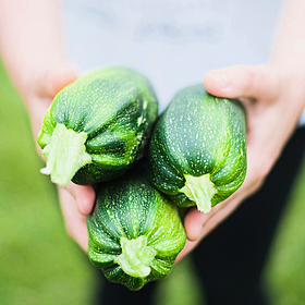 You Are What You Eat: Seasonal Eating Image