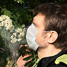 Pollen Season Image