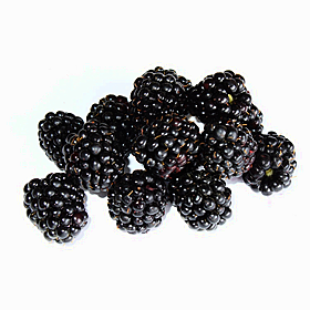 You Are What You Eat: Blackberries Image