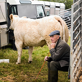 The Story of Succession in the Irish Farming Industry Image