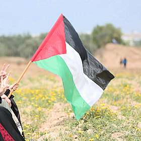 Irishman on joining the ‘March to Gaza’ Image