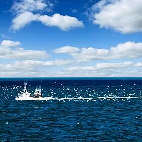 Industry Review: Fishing Industry Image